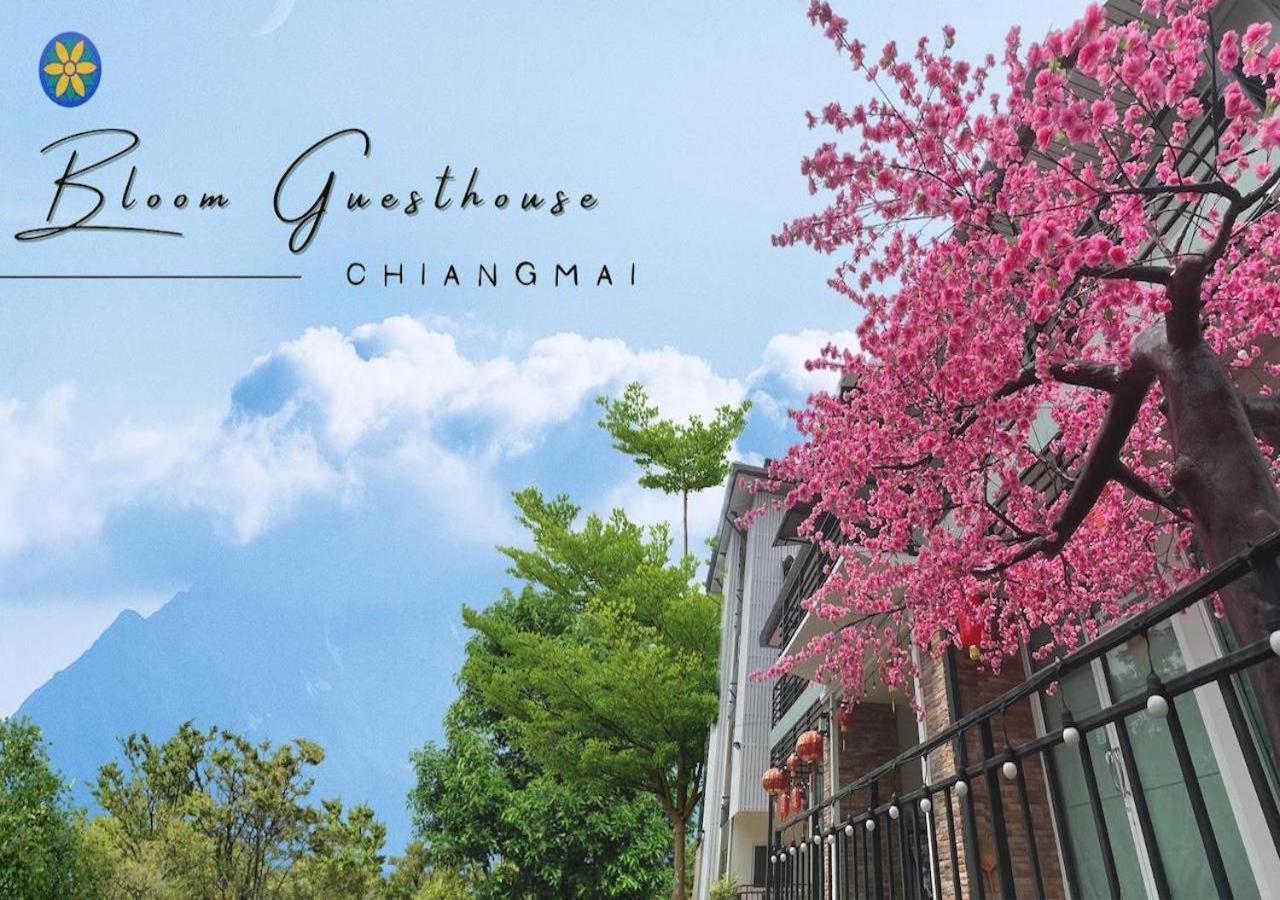 Bloom Guesthouse Чиангмай Экстерьер фото